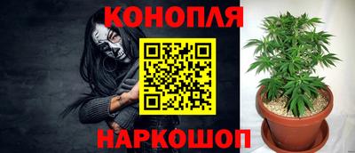 Альфа ПВП Славгород