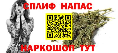 Альфа ПВП Славгород