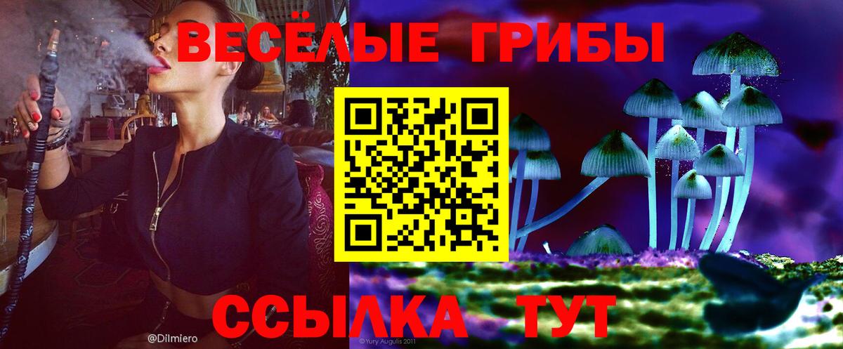 Псилоцибиновые грибы прущие грибы  Вход с VPN  Ачинск  Галлюциногенные грибы Psilocybe 